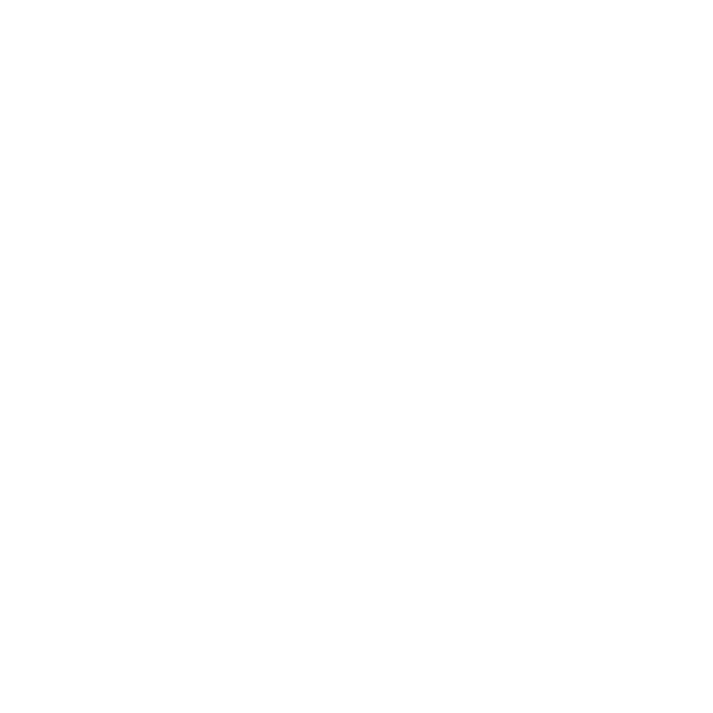 VilniuSense Logo